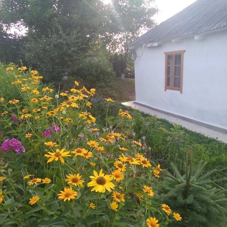 Соколине Гніздо Villa Dmitrenki Екстериор снимка