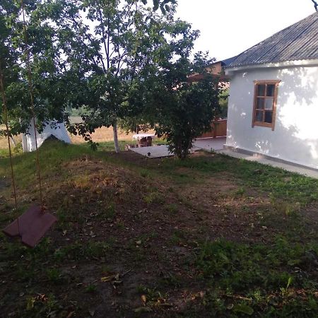 Соколине Гніздо Villa Dmitrenki Екстериор снимка