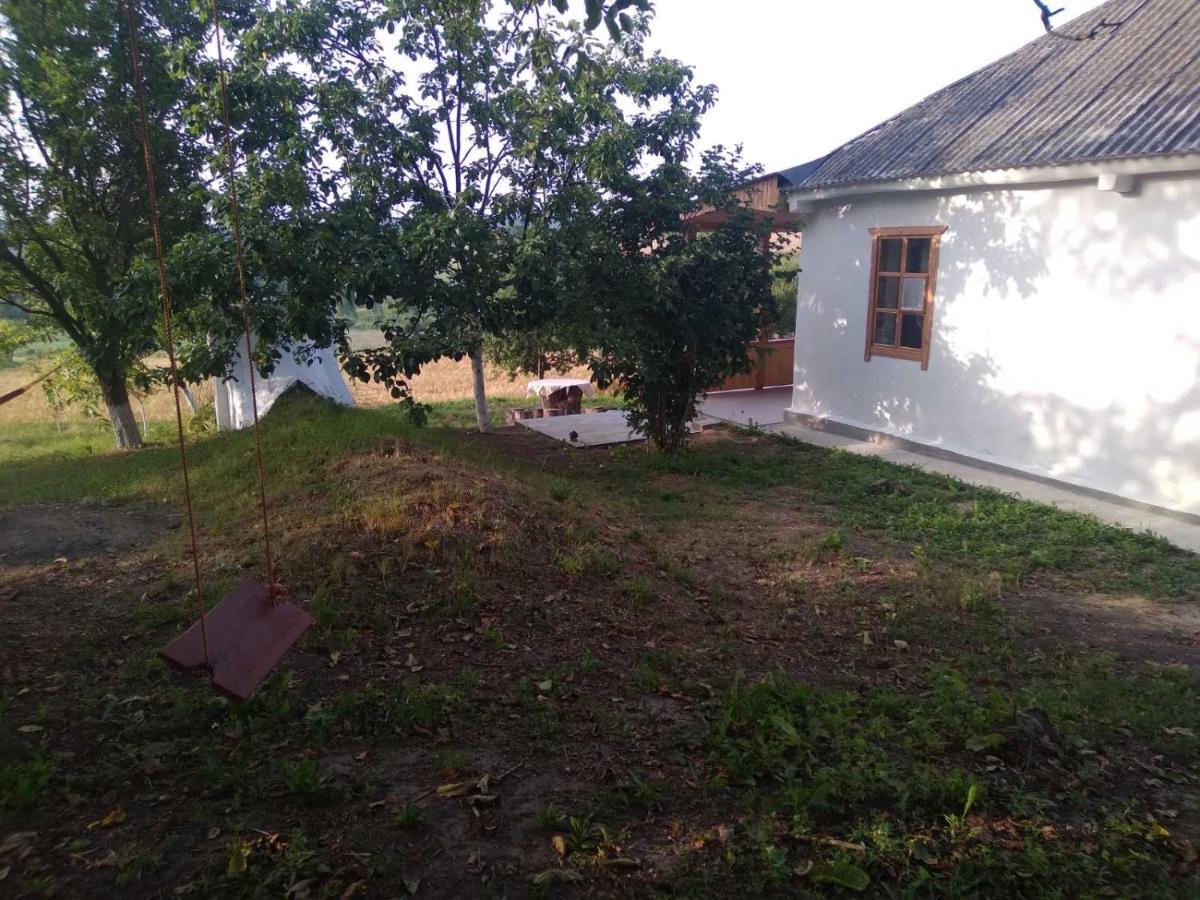 Соколине Гніздо Villa Dmitrenki Екстериор снимка