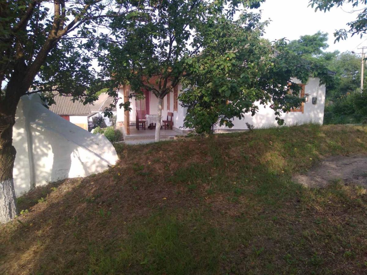 Соколине Гніздо Villa Dmitrenki Екстериор снимка