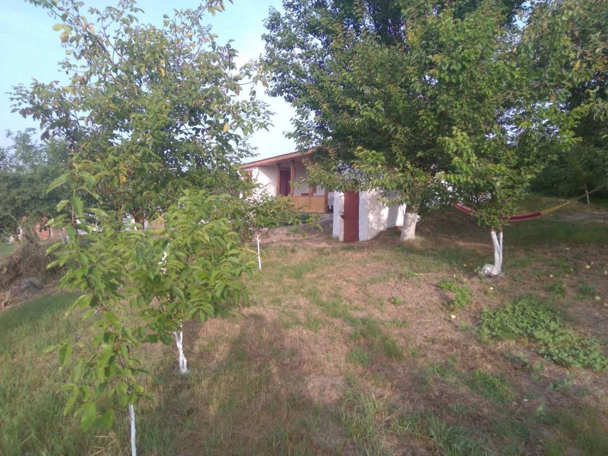 Соколине Гніздо Villa Dmitrenki Екстериор снимка